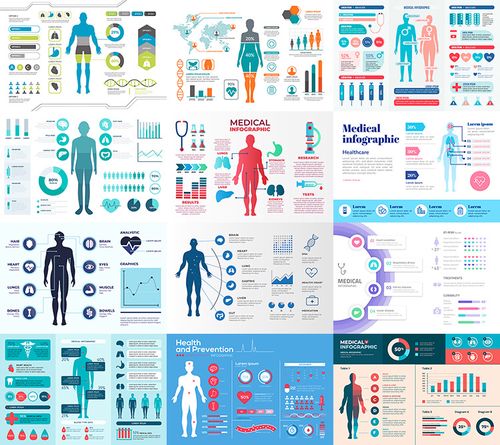 医学健康信息图表人体身体构造医疗数据分析ai设计素材